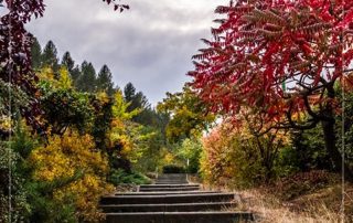 What I learned when my list became unrealistic