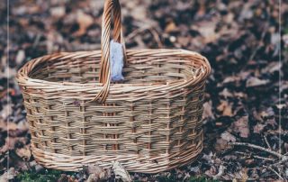 Picnic Basket