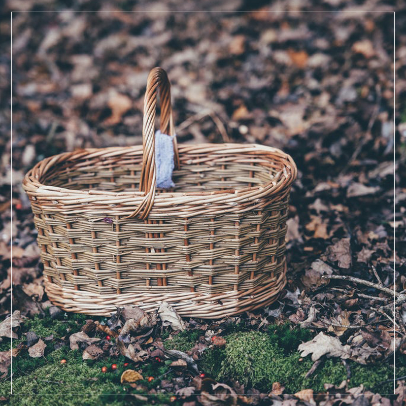Picnic Basket
