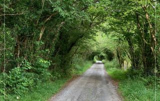 Ireland
