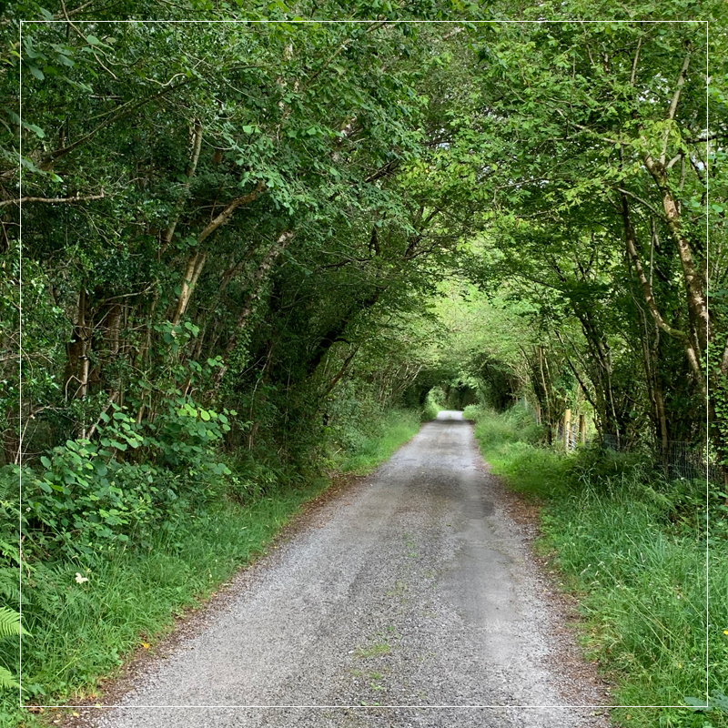 Ireland